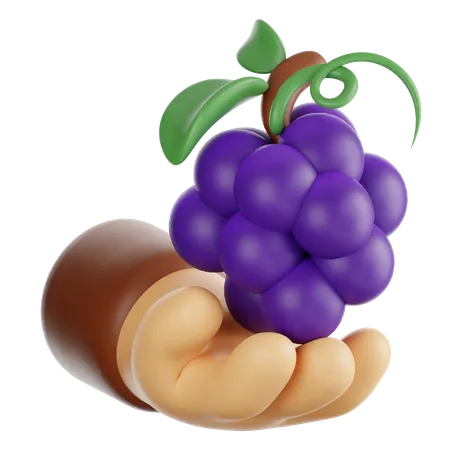 Holding Grapes  3D Icon