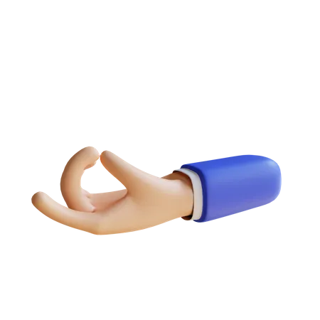 Holding Hand Gesture  3D Illustration