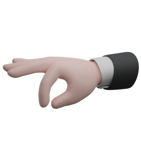 Holding Hand Gestures  3D Icon