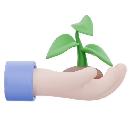 Holding Plant  3D Icon