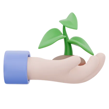 Holding Plant  3D Icon