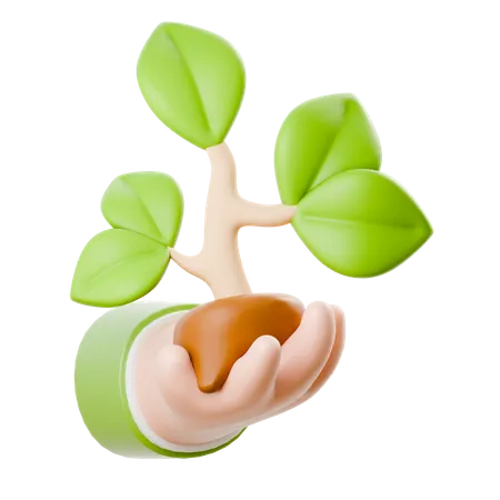 Holding Plant  3D Icon