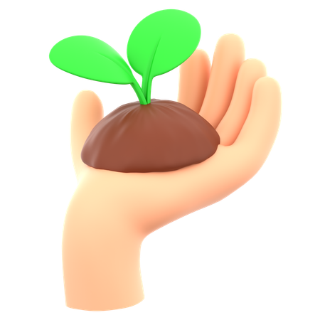 Holding Plant  3D Icon