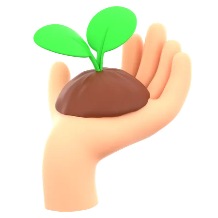 Holding Plant  3D Icon