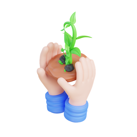 Holding Plant  3D Icon