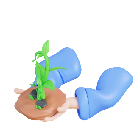 3 D Illustration Hand Holding Plant Growth 3D Icon