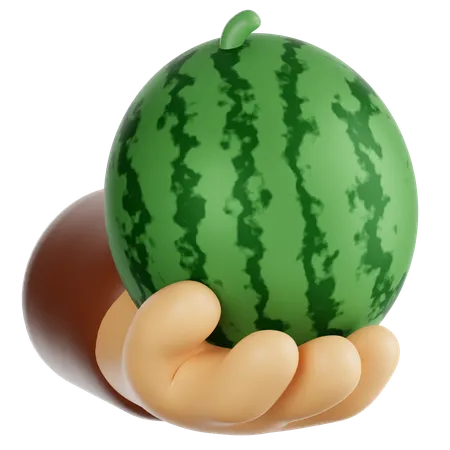 Holding Watermelon  3D Icon