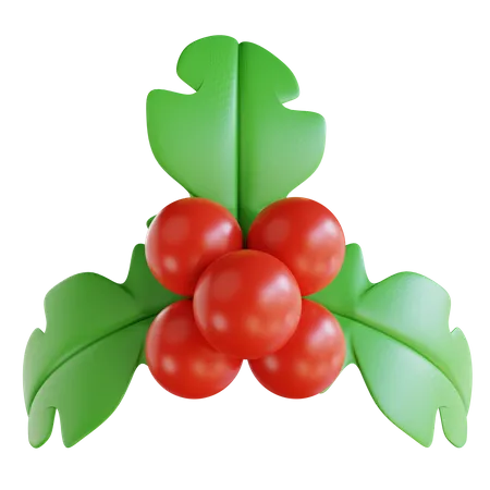 Holly  3D Icon