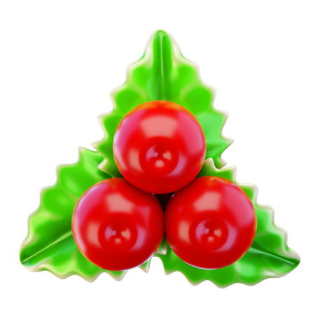 Holly Berry  3D Icon