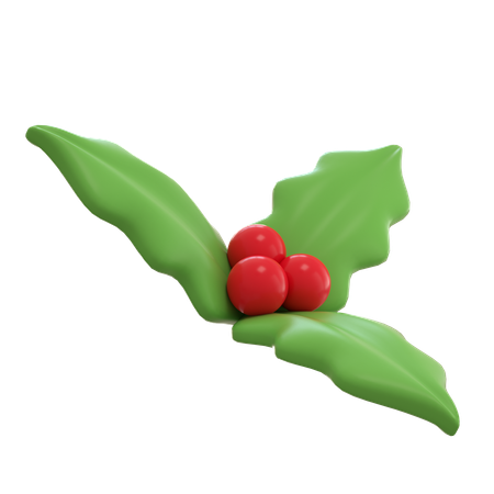 Holly Christmas  3D Icon