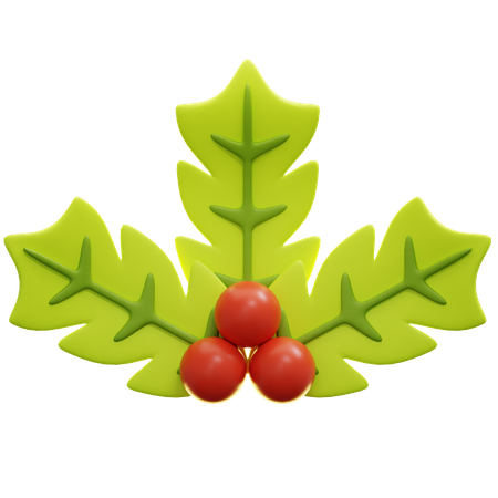 Holly Leaves And Berries  3D Icon