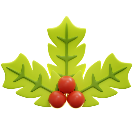 Holly Leaves And Berries  3D Icon
