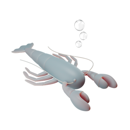 Homard  3D Illustration