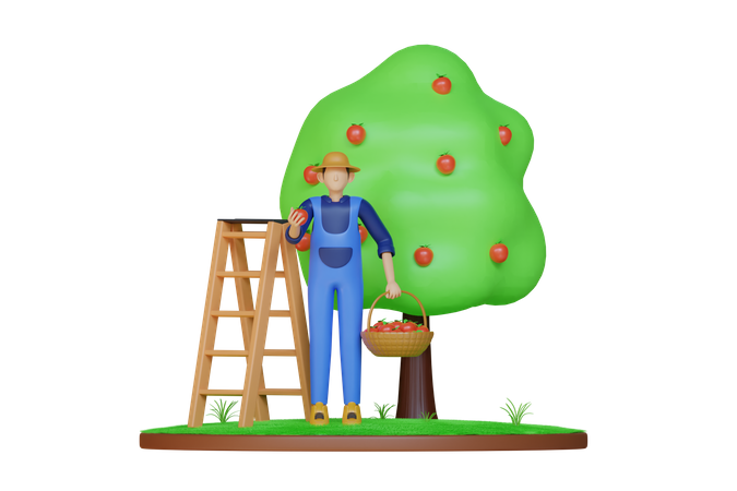 Hombre recogiendo manzana  3D Illustration