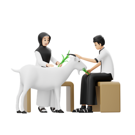 Hombre y mujer musulmanes dando pasto a las cabras  3D Illustration