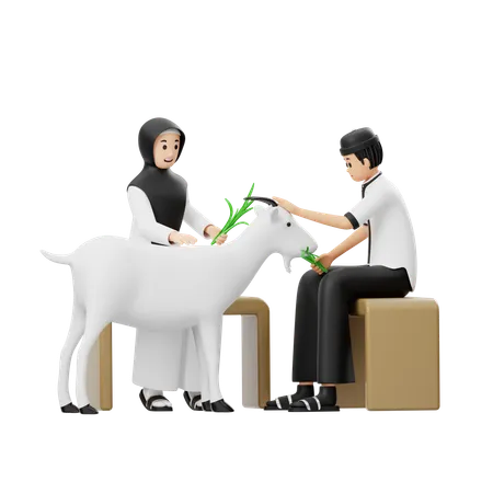 Hombre y mujer musulmanes dando pasto a las cabras  3D Illustration