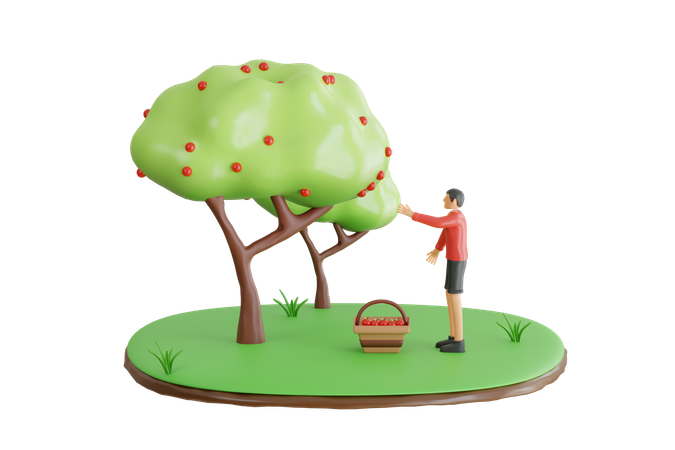 Homem colhendo frutas de maçã  3D Illustration