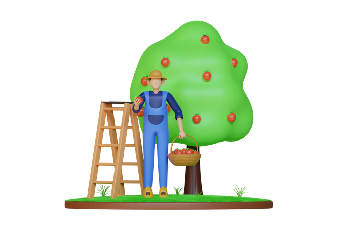 Homme ramassant une pomme  3D Illustration