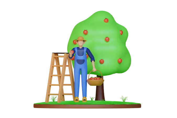 Homme ramassant une pomme  3D Illustration