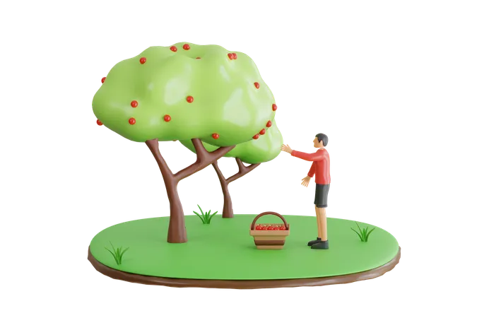 Homme récoltant des pommes  3D Illustration