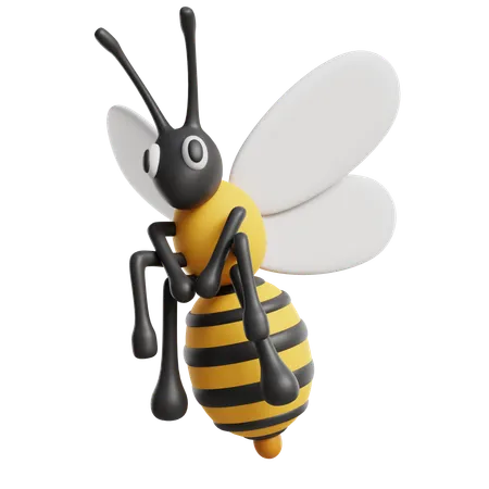 Honey Bee  3D Icon