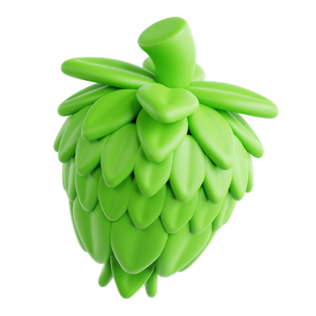 Hopfen  3D Icon