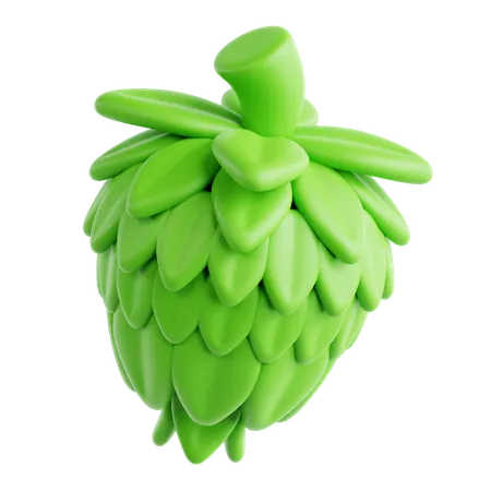 Hopfen  3D Icon