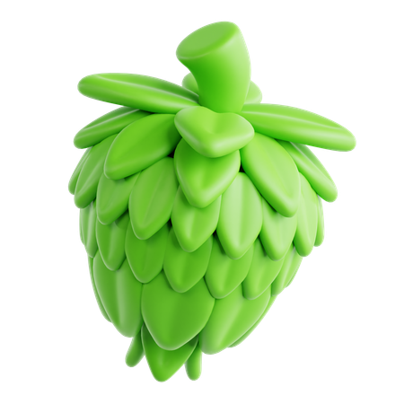 Hops  3D Icon