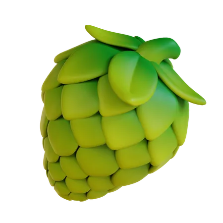 3 D Illustration Hops Fruit 3D Icon