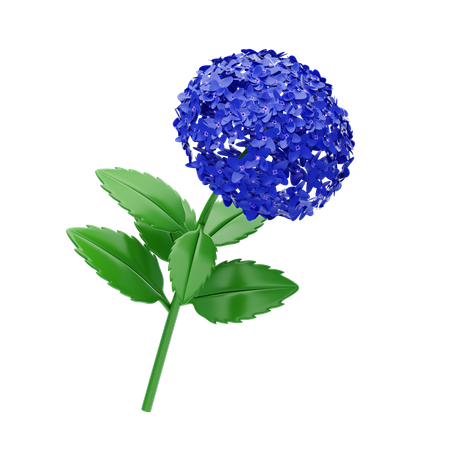 Hortensia  3D Icon