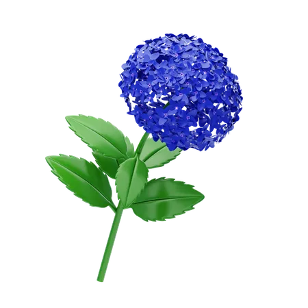 Hortensia  3D Icon