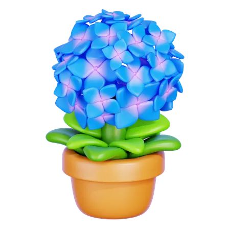 Hortensia  3D Icon