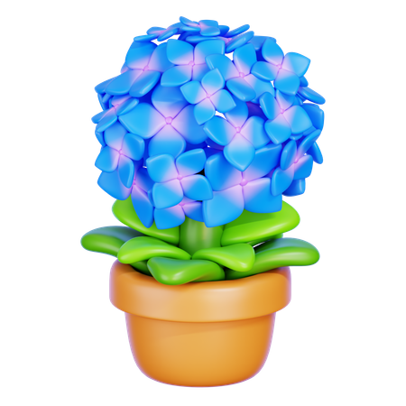 Hortensie  3D Icon