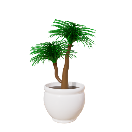 House Plant  3D Icon