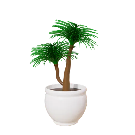 House Plant  3D Icon