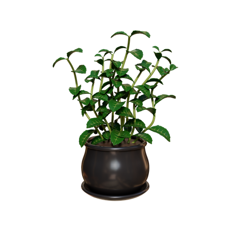 House Plant  3D Icon