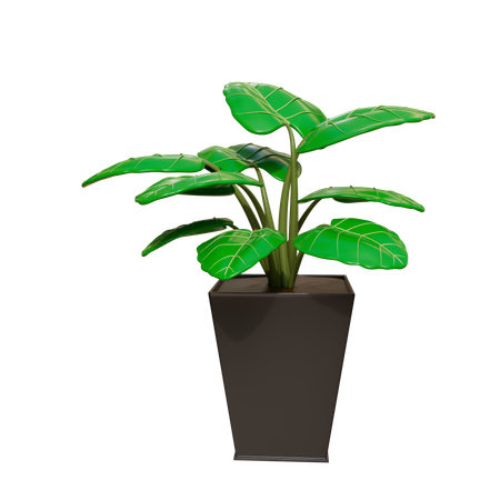 House Plant  3D Icon