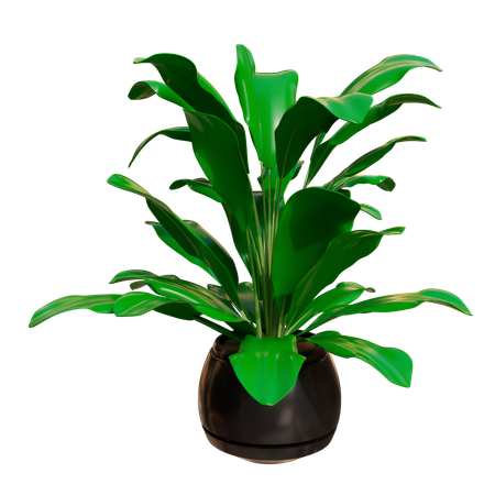 House Plant  3D Icon