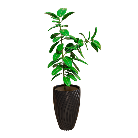 House Plant  3D Icon