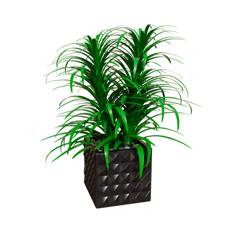 House Plant  3D Icon