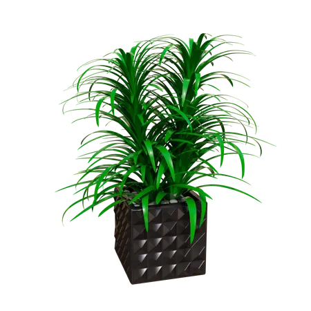 House Plant  3D Icon