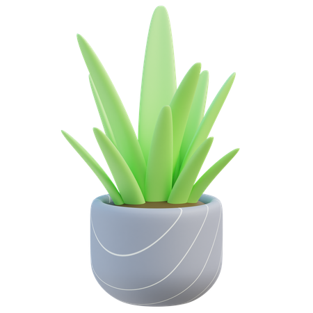 House Plant  3D Icon