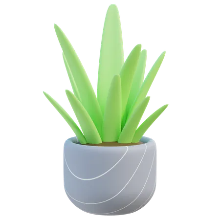 House Plant  3D Icon