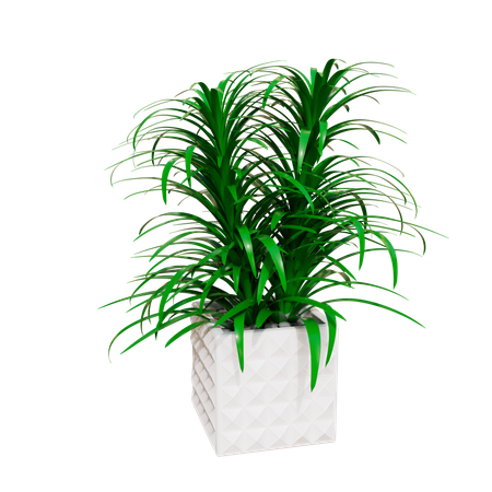 House Plant  3D Icon