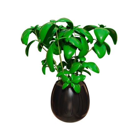 House Plant  3D Icon