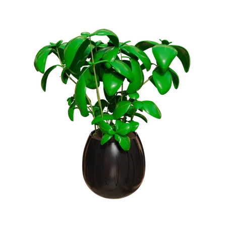 House Plant  3D Icon