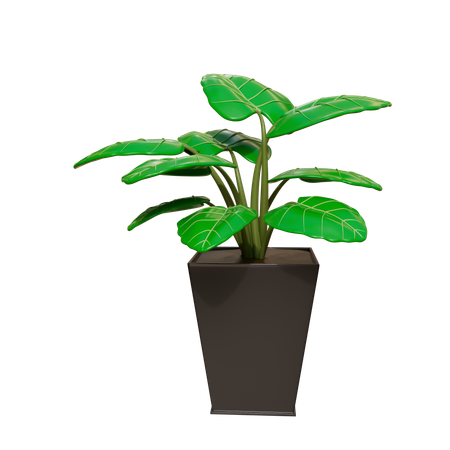 House Plant  3D Icon