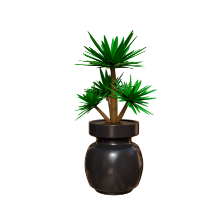 House Plant  3D Icon