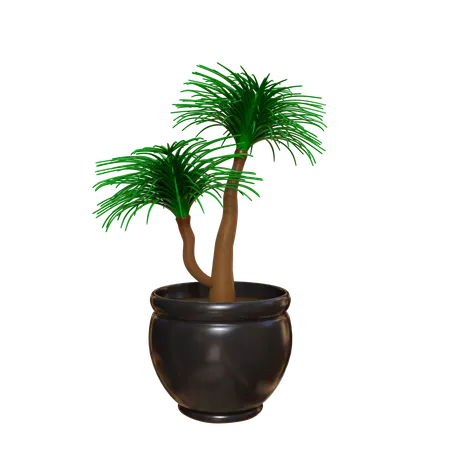 House Plant  3D Icon