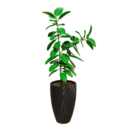 House Plant  3D Icon